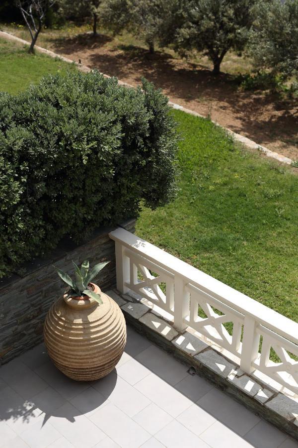 Aithra -Agios Petros Andros Villa กาวริยอน ภายนอก รูปภาพ