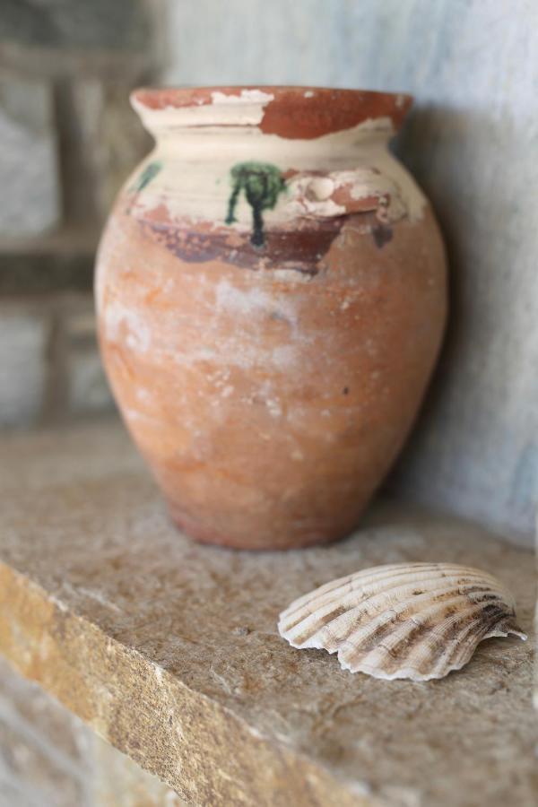 Aithra -Agios Petros Andros Villa กาวริยอน ภายนอก รูปภาพ