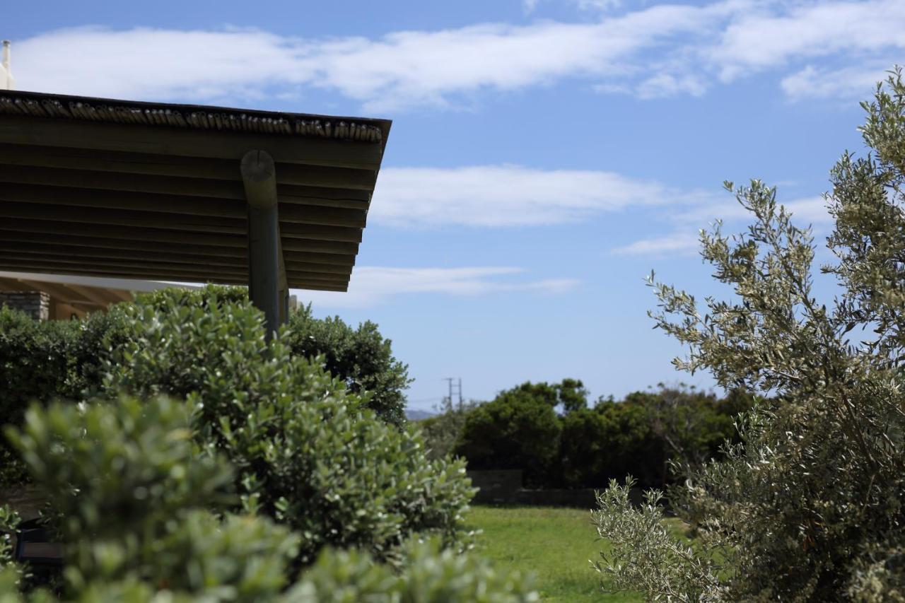 Aithra -Agios Petros Andros Villa กาวริยอน ภายนอก รูปภาพ